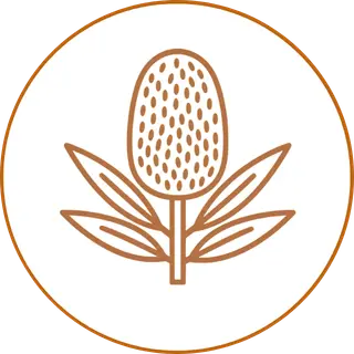banksia icon