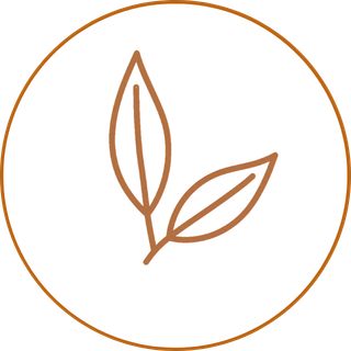 Gum leaf icon