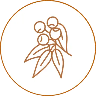 Native Australian Berries Icon